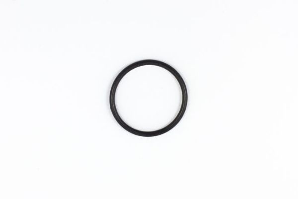 Zodiac O ring to suit Ei Cell / Tri Pod