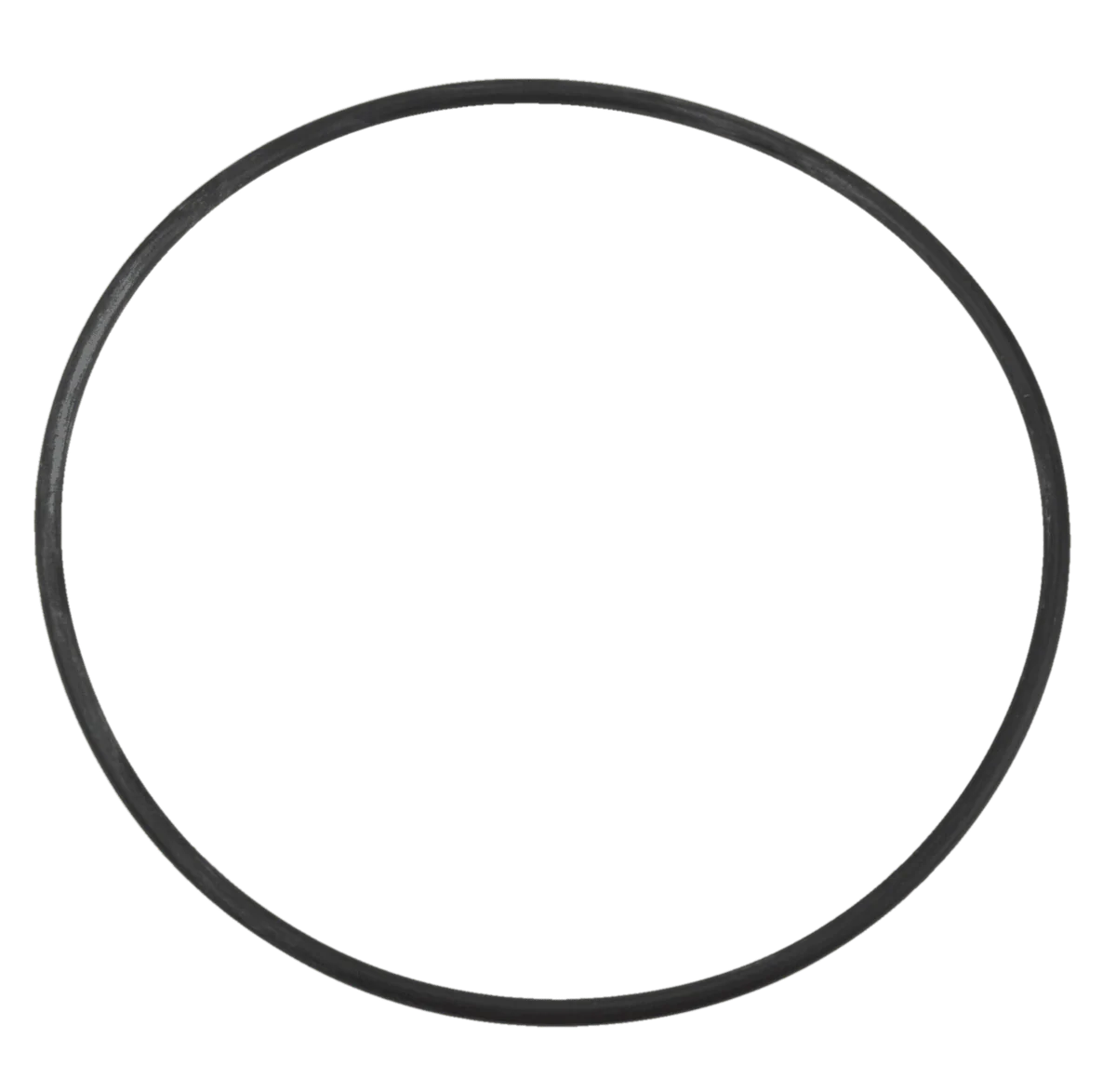 Pentair Onga Leisuretime II valve to tank o'ring