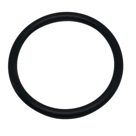 Watermaid Thick QT O'Ring (5mm)