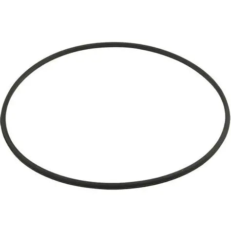 Hayward DEX2422Z2 SwimClear Filter Series Metal Reinforced Lid O-Ring