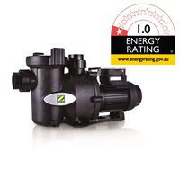 Zodiac FloPro Pool Pumps